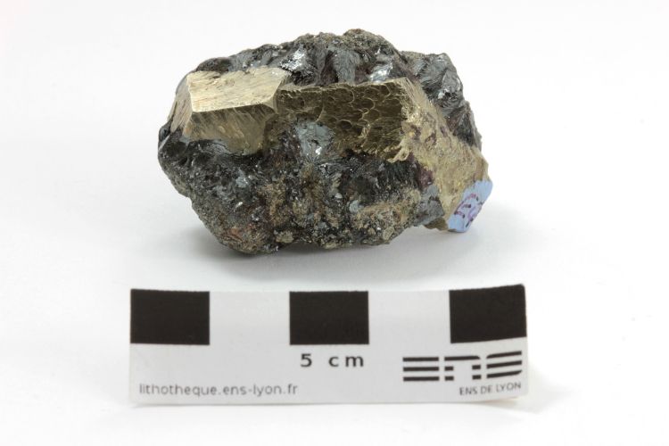 Pyrite et hématite Pyrite et hématite  Ile d’Elbe  